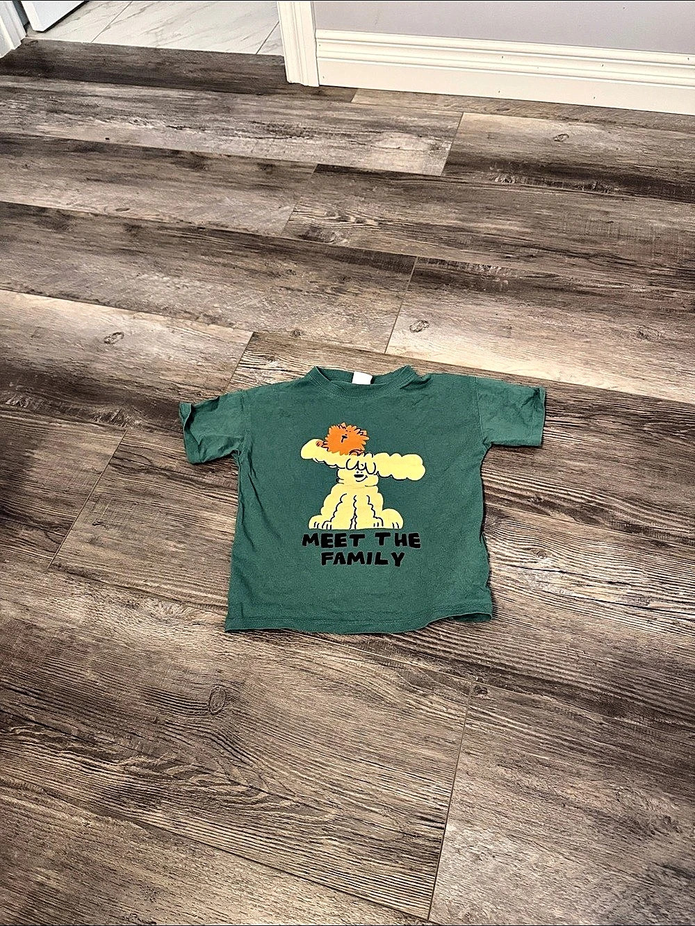 Zara Meet The Family Graphic Tee Boys Size 4